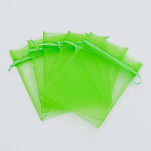 GREEN ORGANZA BAGS - The Rain Maya Collection